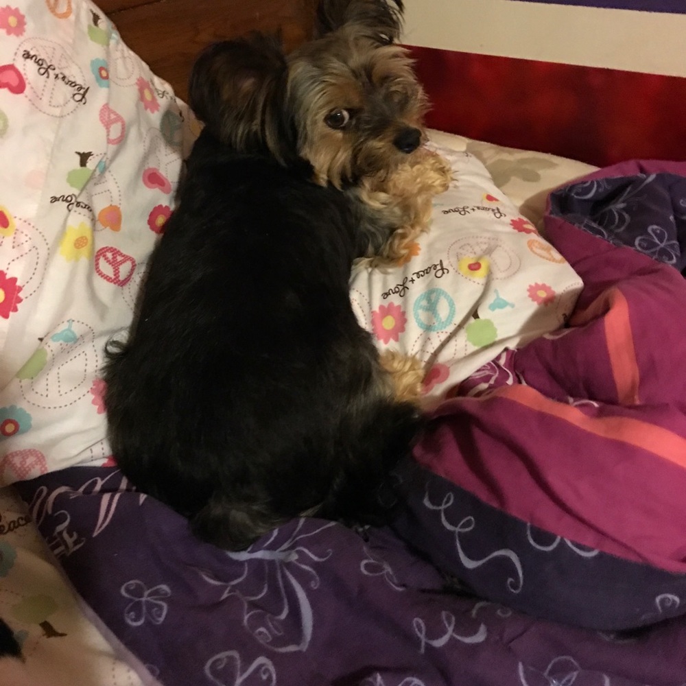 Meet your Posher, Jaylynn